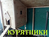 Курятник